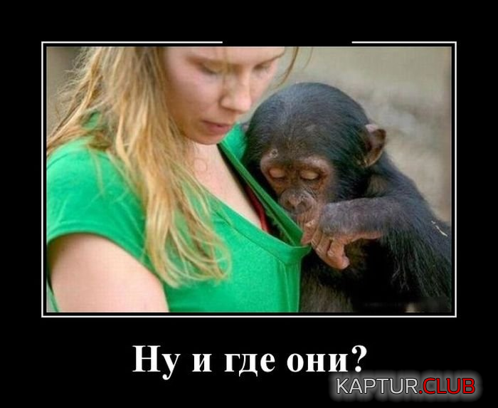 3.png | Рено Каптур Клуб Россия | Форум KAPTUR.SU