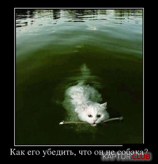 3.png | Рено Каптур Клуб Россия | Форум KAPTUR.SU