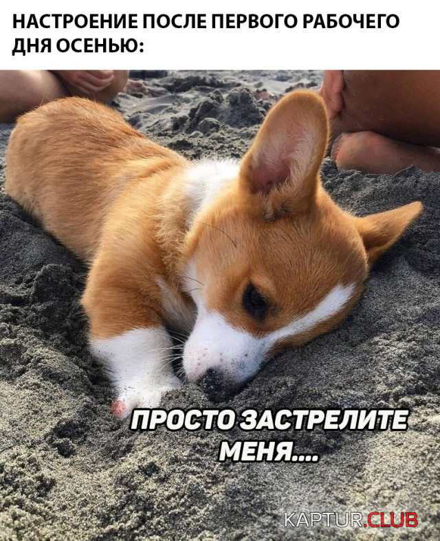 3.png | Рено Каптур Клуб Россия | Форум KAPTUR.SU