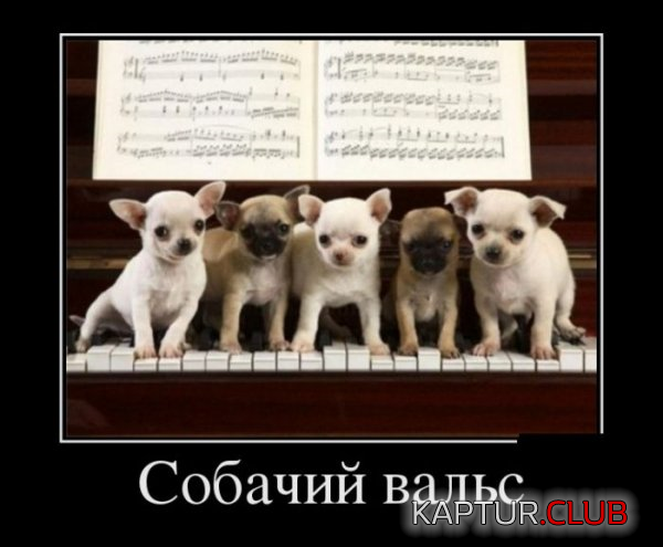 3.png | Рено Каптур Клуб Россия | Форум KAPTUR.SU