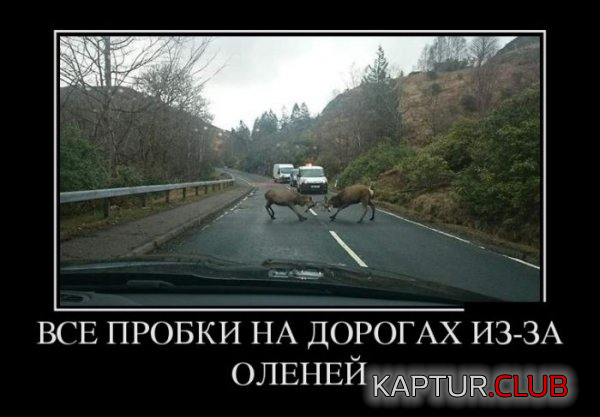 3.png | Рено Каптур Клуб Россия | Форум KAPTUR.SU