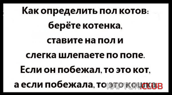 3.png | Рено Каптур Клуб Россия | Форум KAPTUR.SU