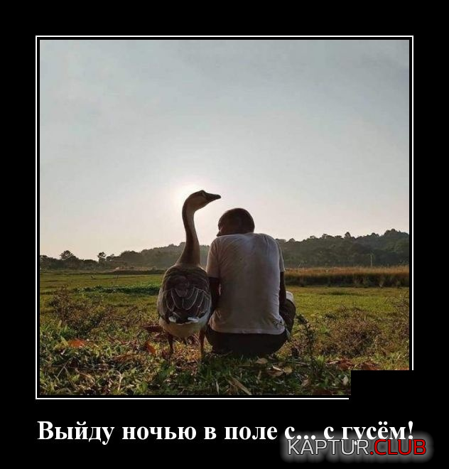 3.png | Рено Каптур Клуб Россия | Форум KAPTUR.SU
