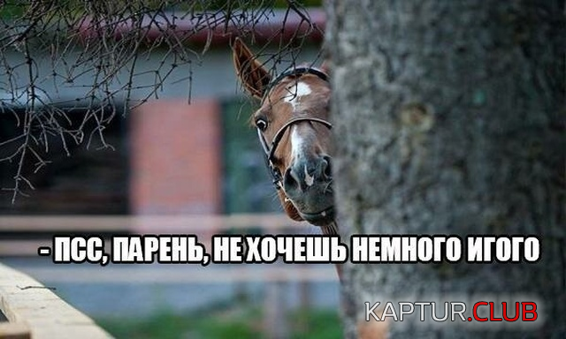 3.png | Рено Каптур Клуб Россия | Форум KAPTUR.SU