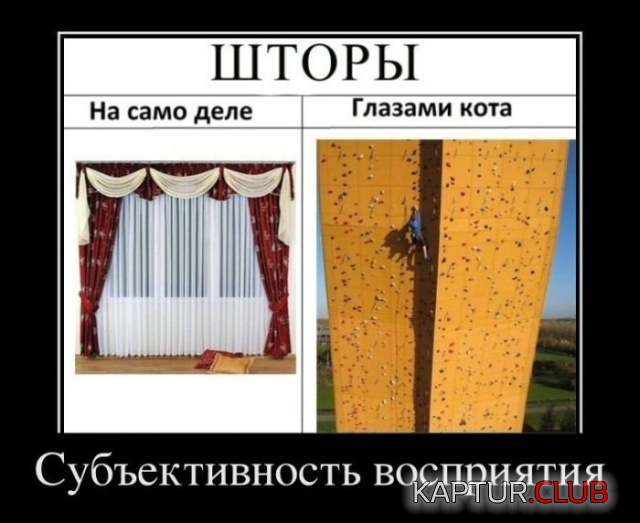 3.png | Рено Каптур Клуб Россия | Форум KAPTUR.SU