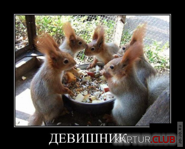 3.png | Рено Каптур Клуб Россия | Форум KAPTUR.SU