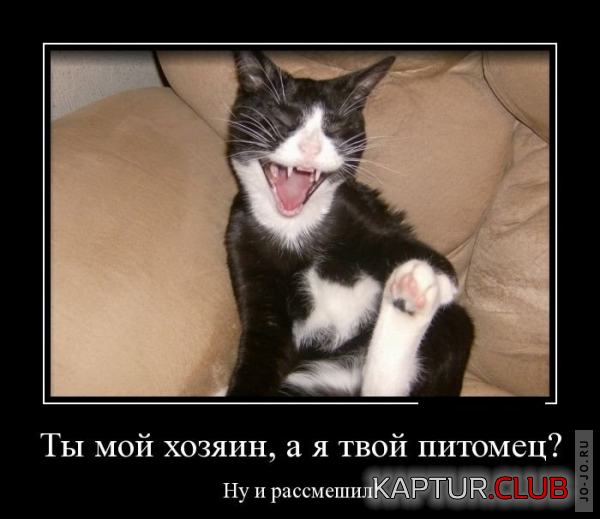 3.png | Рено Каптур Клуб Россия | Форум KAPTUR.SU