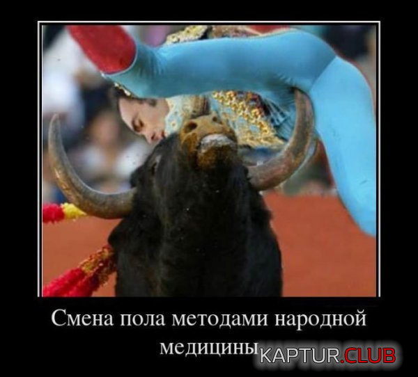 3.png | Рено Каптур Клуб Россия | Форум KAPTUR.SU