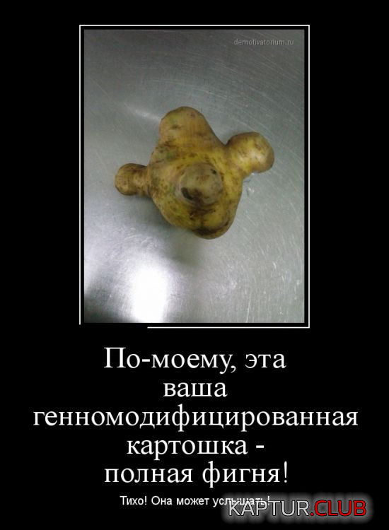 3.png | Рено Каптур Клуб Россия | Форум KAPTUR.SU