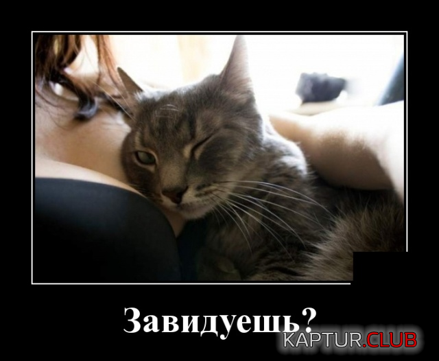 3.png | Рено Каптур Клуб Россия | Форум KAPTUR.SU