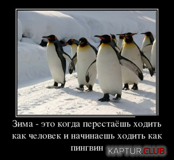 3.png | Рено Каптур Клуб Россия | Форум KAPTUR.SU