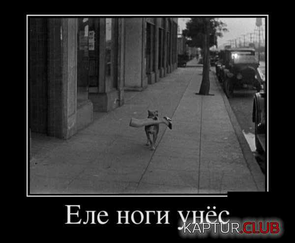 3.png | Рено Каптур Клуб Россия | Форум KAPTUR.SU