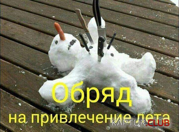 30025e684ce5558b715ebe32814.jpg | Рено Каптур Клуб Россия | Форум KAPTUR.SU