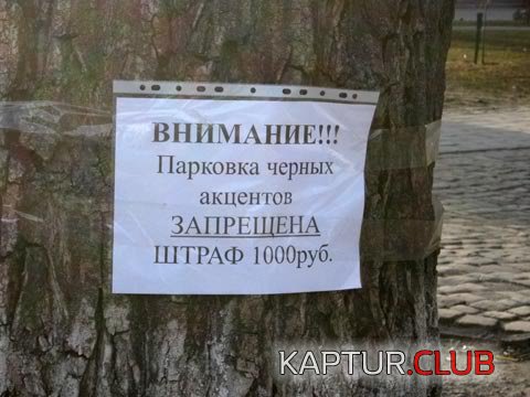 304ddb7ba9d345c3c06e9778e15.jpg | Рено Каптур Клуб Россия | Форум KAPTUR.SU