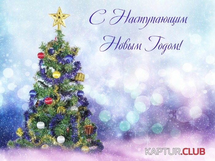30781300.jpg | Рено Каптур Клуб Россия | Форум KAPTUR.SU