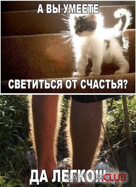 30b04d8bd64db52f53f7e77d044.jpg | Рено Каптур Клуб Россия | Форум KAPTUR.SU