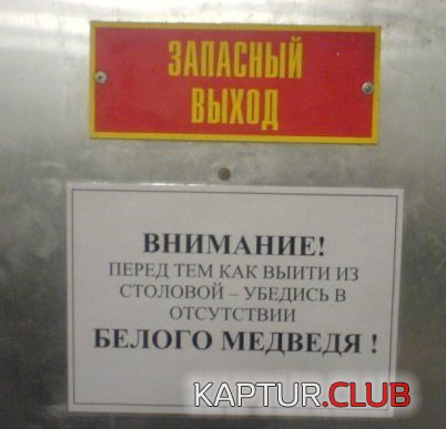 30bef81821055cd4958e438c7ef.jpg | Рено Каптур Клуб Россия | Форум KAPTUR.SU