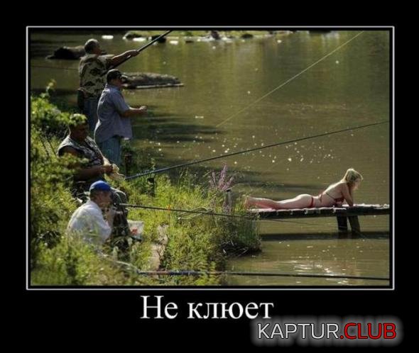 30c6673753b851d5f4ca45ae6a6_prev.jpg | Рено Каптур Клуб Россия | Форум KAPTUR.SU