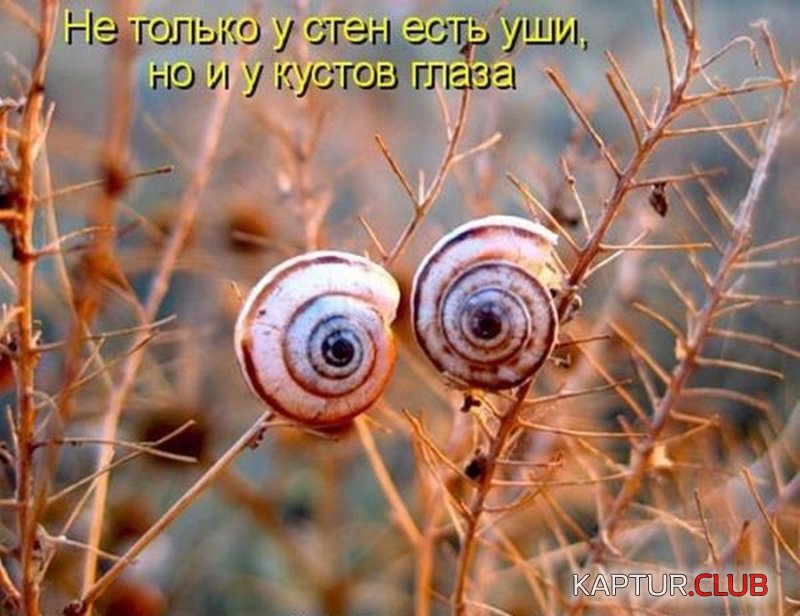 30d0a189f305c6e4dd449b7f063.jpg | Рено Каптур Клуб Россия | Форум KAPTUR.SU