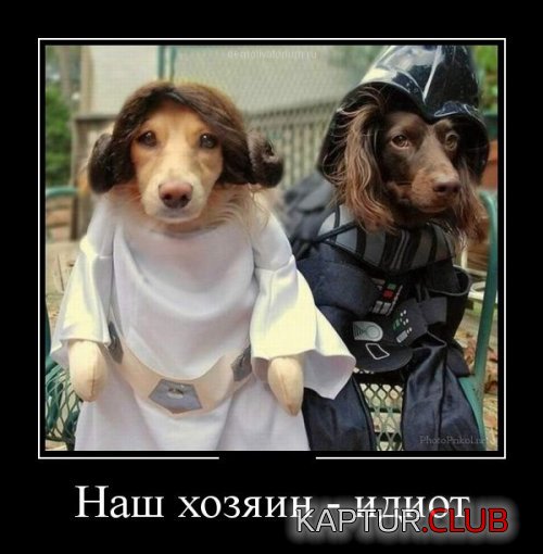 31a856c2415e16cb0b37b660b29.jpg | Рено Каптур Клуб Россия | Форум KAPTUR.SU