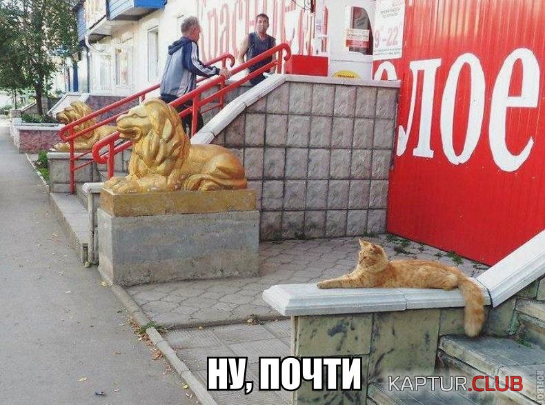 31aeabdb1282c14fda9ce63464b.jpg | Рено Каптур Клуб Россия | Форум KAPTUR.SU