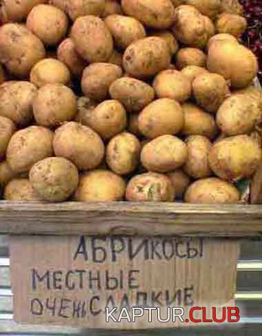 320389b4ca17c423813d528a5f278cfa_full.jpg | Рено Каптур Клуб Россия | Форум KAPTUR.SU