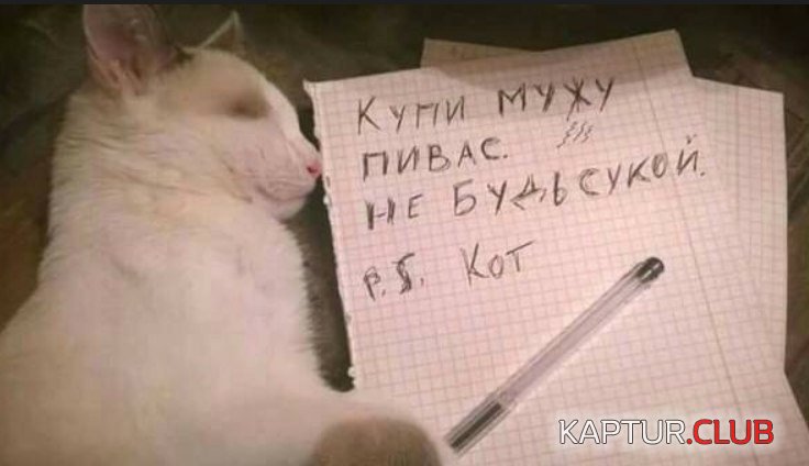 325a260a6d29183cc23eb495a94.jpg | Рено Каптур Клуб Россия | Форум KAPTUR.SU