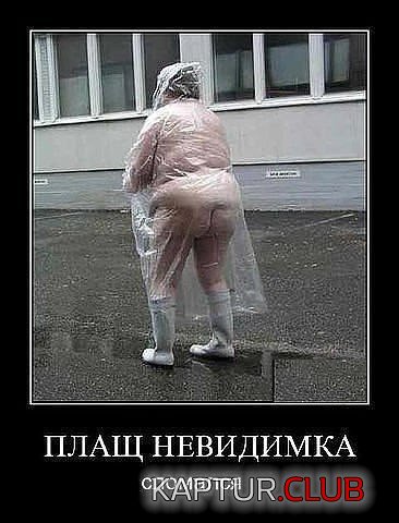 32937542b0777e29cf3c86a3ca9.jpg | Рено Каптур Клуб Россия | Форум KAPTUR.SU