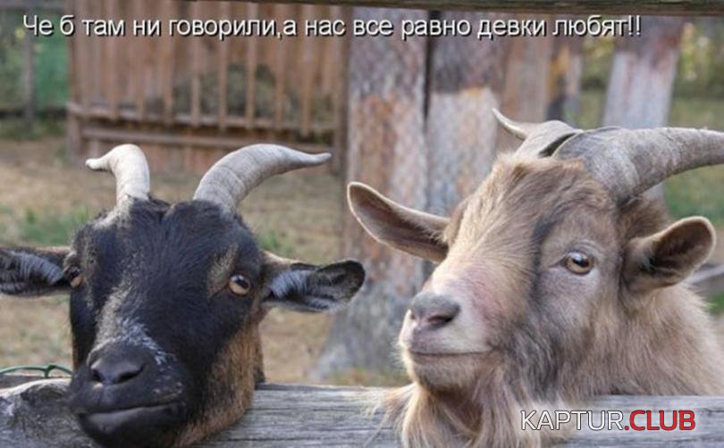 32dcae8cdf3251e902b16a73063_prev.jpg | Рено Каптур Клуб Россия | Форум KAPTUR.SU