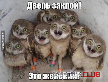 33.jpg | Рено Каптур Клуб Россия | Форум KAPTUR.SU