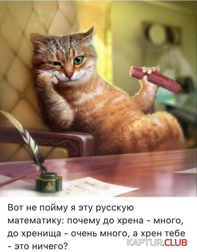 333.jpg | Рено Каптур Клуб Россия | Форум KAPTUR.SU