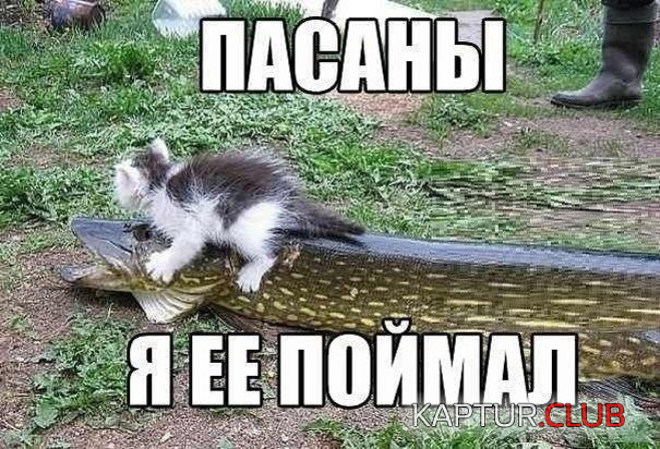 333.png | Рено Каптур Клуб Россия | Форум KAPTUR.SU