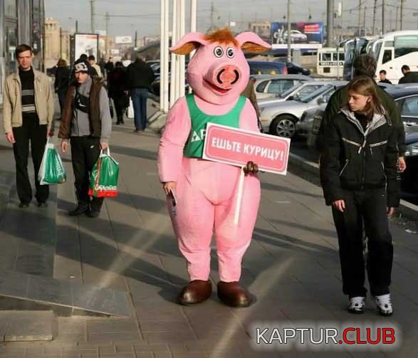 3332c6cdb6addcb17e9626d8329354b6_full.jpg | Рено Каптур Клуб Россия | Форум KAPTUR.SU