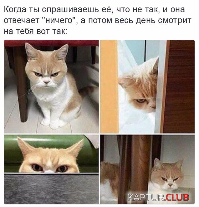 33333.png | Рено Каптур Клуб Россия | Форум KAPTUR.SU