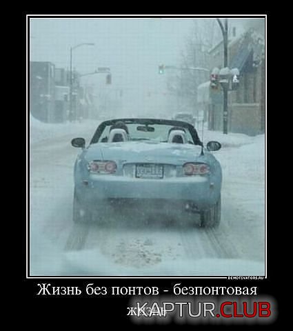 335454.jpg | Рено Каптур Клуб Россия | Форум KAPTUR.SU