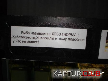 339fd1ce4d4522a5e3a5f020d467bc83_full.jpg | Рено Каптур Клуб Россия | Форум KAPTUR.SU