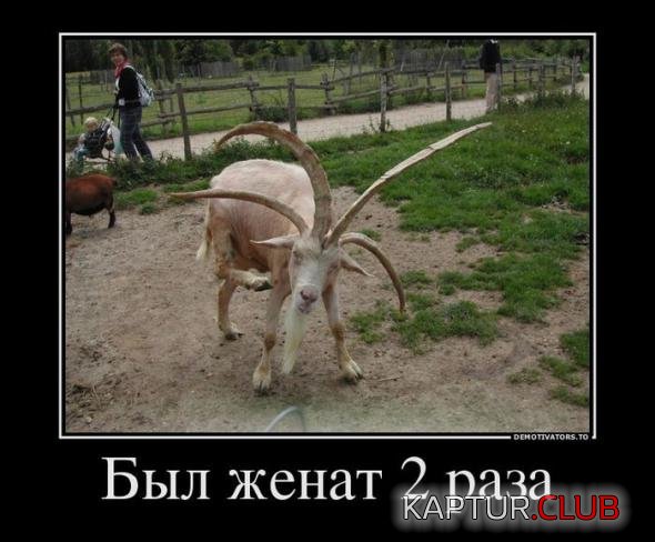 33a3797296e4b676a1ff4682550_prev.jpg | Рено Каптур Клуб Россия | Форум KAPTUR.SU