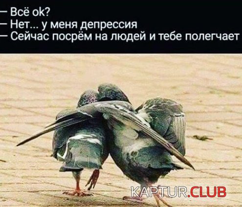 33bfeefbaf70863bcaa683795f6.jpg | Рено Каптур Клуб Россия | Форум KAPTUR.SU