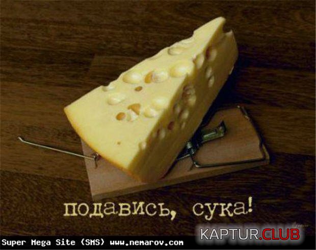 33d1f244ab3c6d385262716d7184dacd_full.jpg | Рено Каптур Клуб Россия | Форум KAPTUR.SU