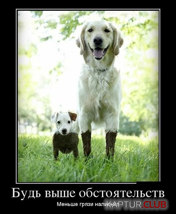 33f54169b2151a20263dbd5c8ef.jpg | Рено Каптур Клуб Россия | Форум KAPTUR.SU