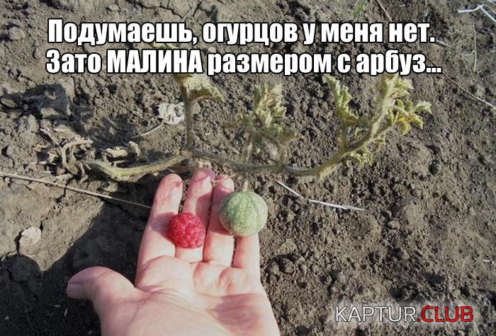 340f9bd36f12fe25c3912bf763c.jpg | Рено Каптур Клуб Россия | Форум KAPTUR.SU