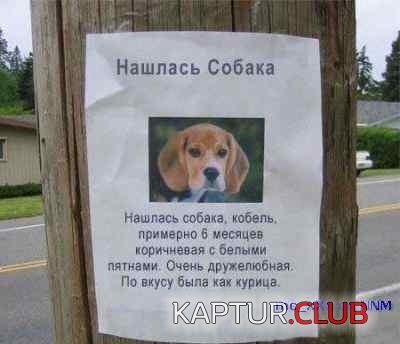 345394f45ffbdc83bbbe7274c1b4ba3d_full.jpg | Рено Каптур Клуб Россия | Форум KAPTUR.SU