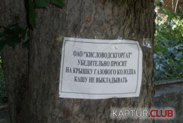 34c3158b013e55f4cfbdfc9ff99_prev.jpg | Рено Каптур Клуб Россия | Форум KAPTUR.SU