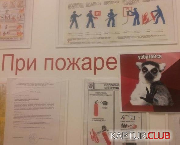 351d75cb24d77f70c2203fe0f4c_prev.jpg | Рено Каптур Клуб Россия | Форум KAPTUR.SU