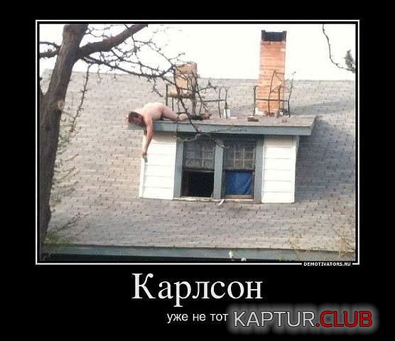 354+654+456.jpg | Рено Каптур Клуб Россия | Форум KAPTUR.SU