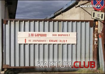 3546.JPG | Рено Каптур Клуб Россия | Форум KAPTUR.SU