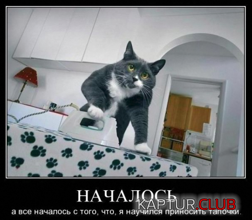 355db607379047d6a3d9d56709d.png | Рено Каптур Клуб Россия | Форум KAPTUR.SU