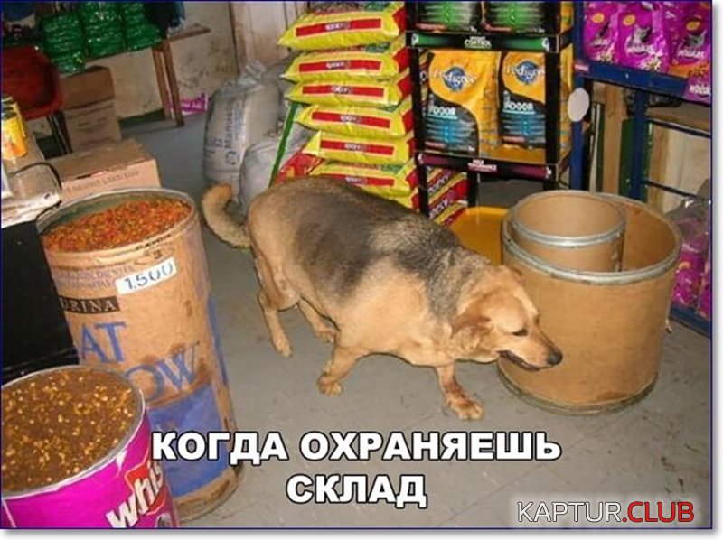 35be8d4ef4fc22fa33fd4b5c588.jpg | Рено Каптур Клуб Россия | Форум KAPTUR.SU