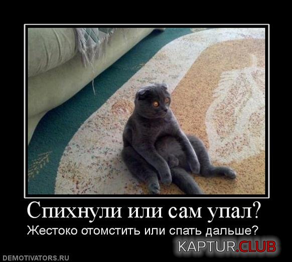 36208a7af1c939cd592e841a009.jpg | Рено Каптур Клуб Россия | Форум KAPTUR.SU