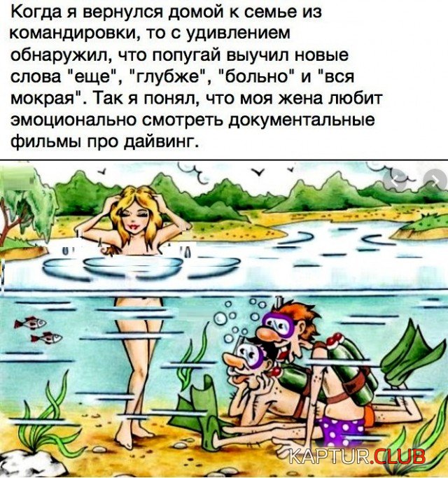 3624144e86346cea67517d327b0.jpg | Рено Каптур Клуб Россия | Форум KAPTUR.SU